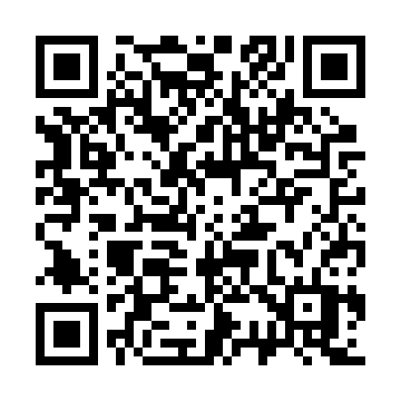 QR code for 333BST