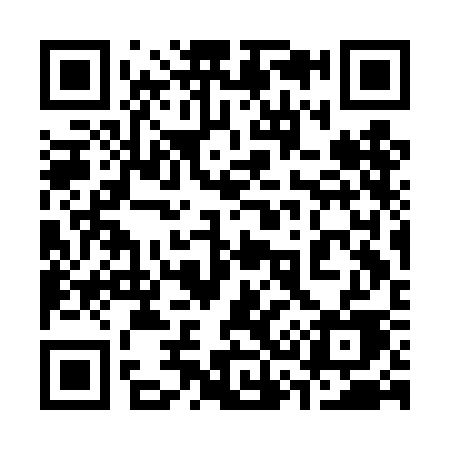 QR code for 333DCE