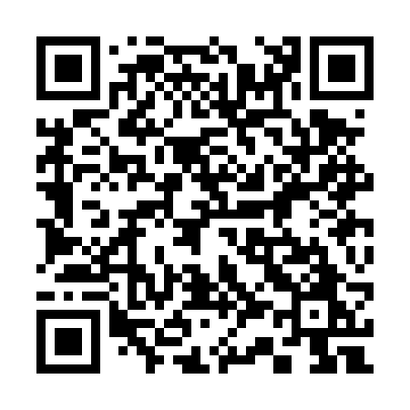 QR code for 333DRO
