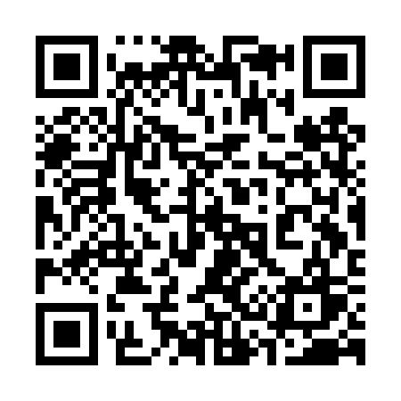 QR code for 333DSW