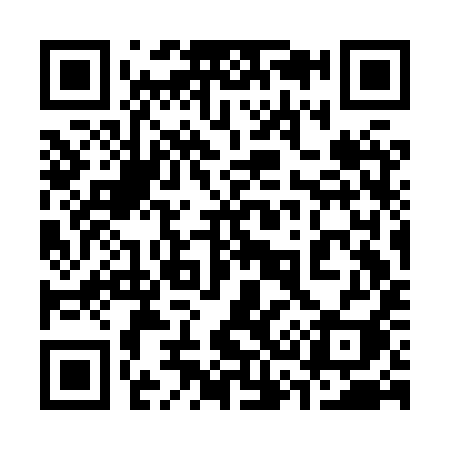 QR code for 333HYI