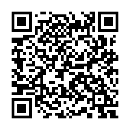 QR code for 333IBM