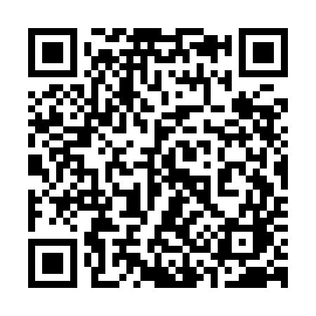 QR code for 333IEC