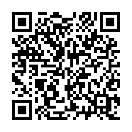 QR code for 333IED