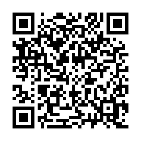 QR code for 333LIL