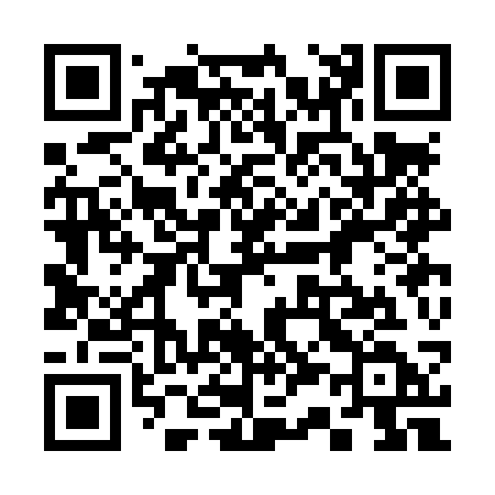 QR code for 333LSD