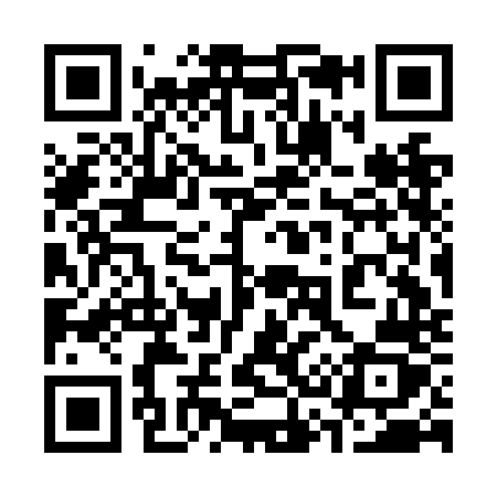 QR code for 333NNZ