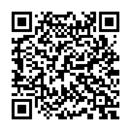 QR code for 333SVD