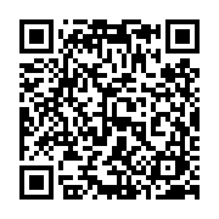 QR code for 333TVM