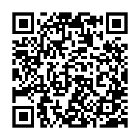 QR code for 333XLS