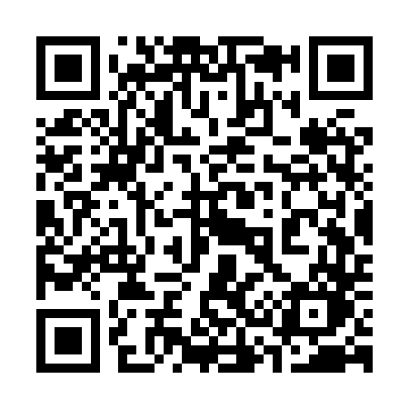 QR code for 333XTO