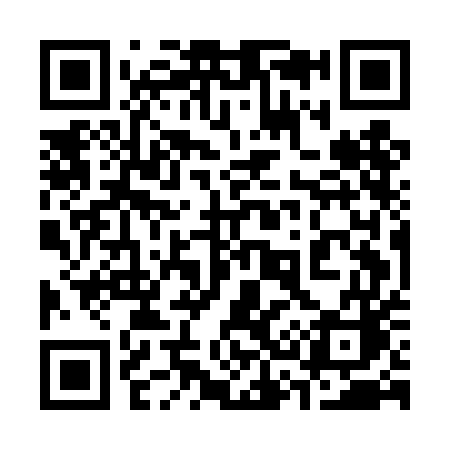 QR code for 335DEC