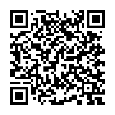 QR code for 335DLR