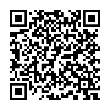 QR code for 335HUZ