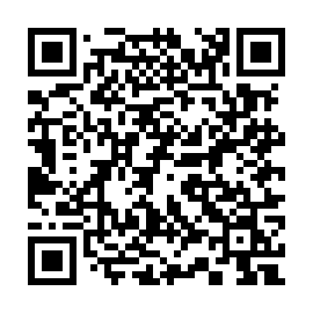 QR code for 335MON