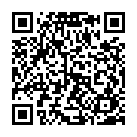 QR code for 335MSN