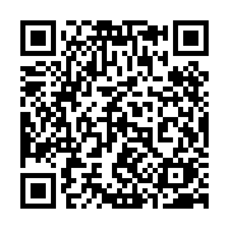 QR code for 335PKM