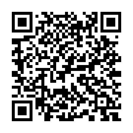 QR code for 335PUD