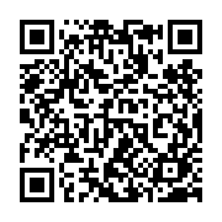 QR code for 335TEL