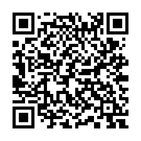 QR code for 335VAI