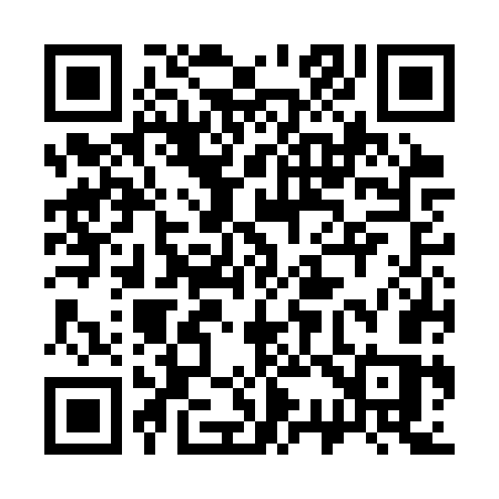 QR code for 336CWS