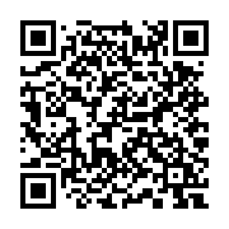 QR code for 336DPU