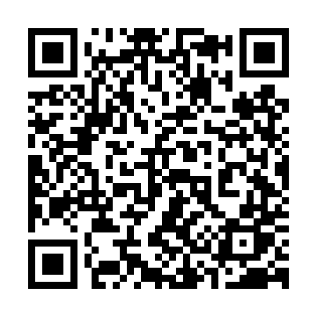 QR code for 336DTP