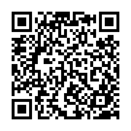 QR code for 336DYN