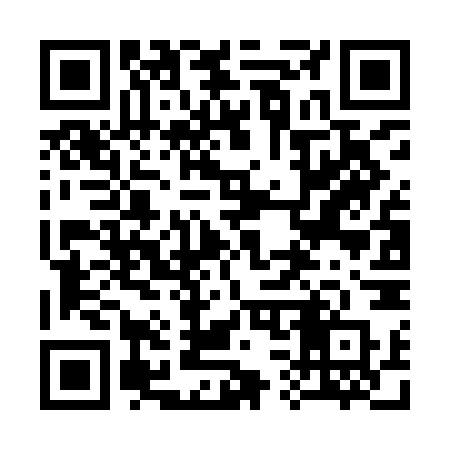 QR code for 336INP