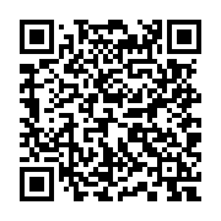 QR code for 336MXH