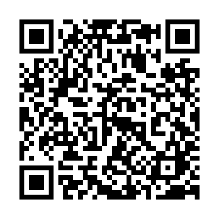 QR code for 336NYC