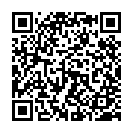 QR code for 336PMS