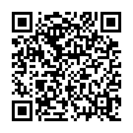 QR code for 336SAL