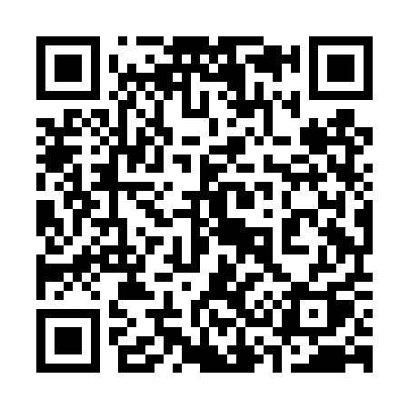 QR code for 338DQQ
