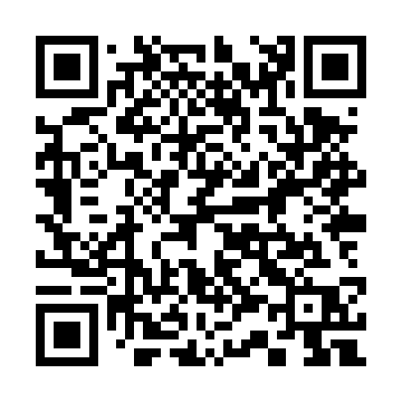 QR code for 338TSP