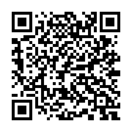 QR code for 338VDD