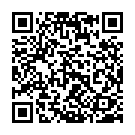 QR code for 338XSX