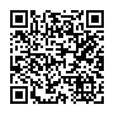 QR code for 339BOO