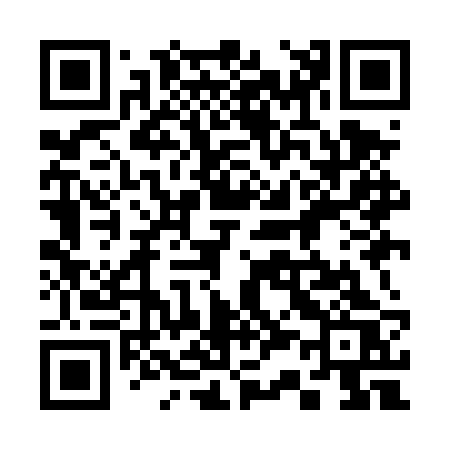 QR code for 339DRS