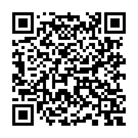 QR code for 339MNS
