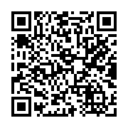 QR code for 339POU