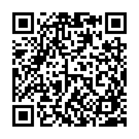 QR code for 339SYG