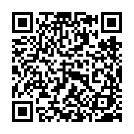 QR code for 339VNI