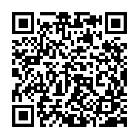 QR code for 339XIR