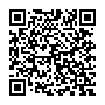 QR code for 341DOM