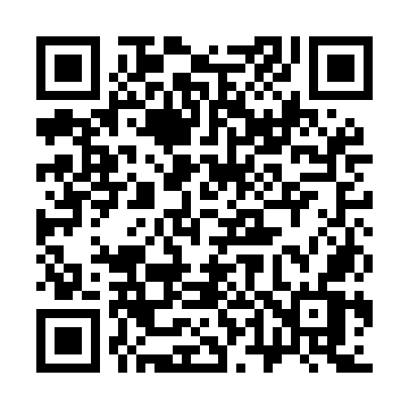 QR code for 341MOV