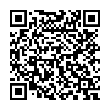 QR code for 341NSS