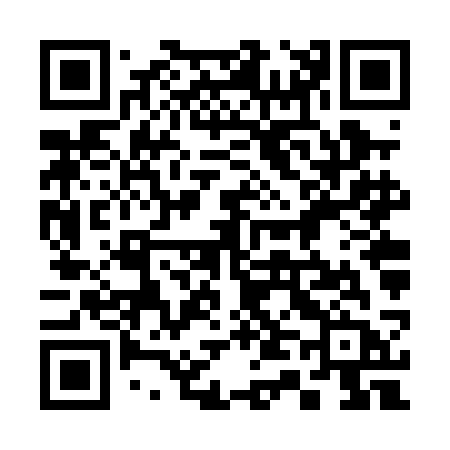 QR code for 346PCB