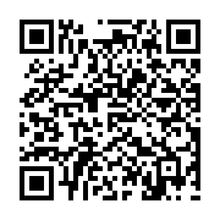 QR code for 347RUB