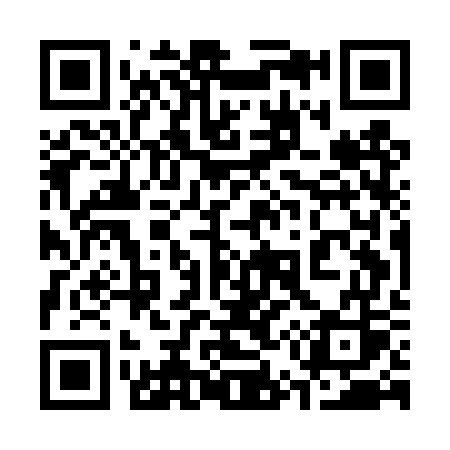 QR code for 355DWS